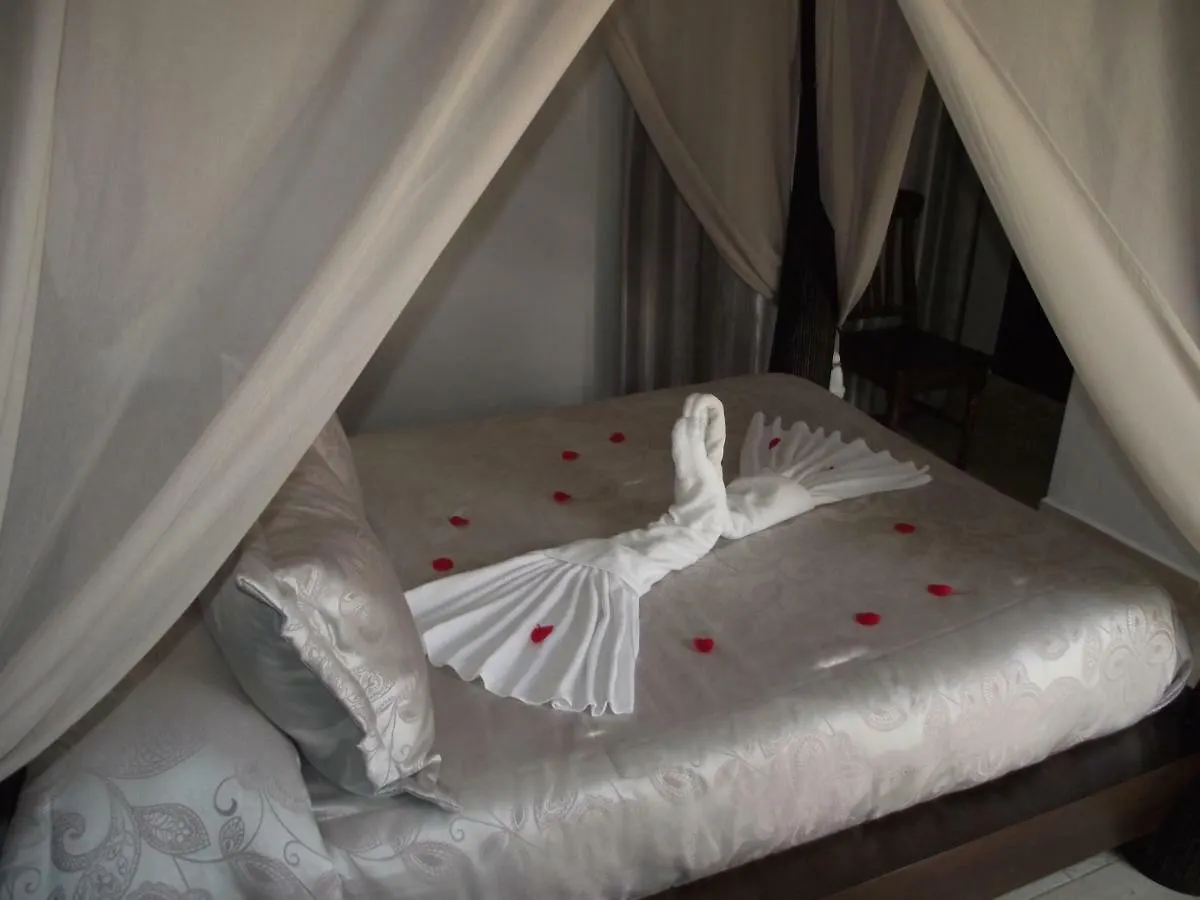 Hostal El Canario Conil De La Frontera 0*,